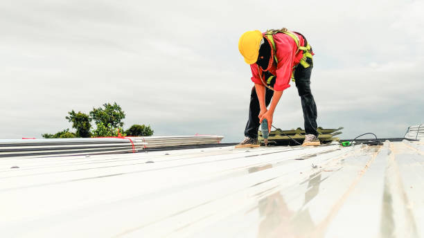 Best Commercial Roofing Services  in Maywood, NJ